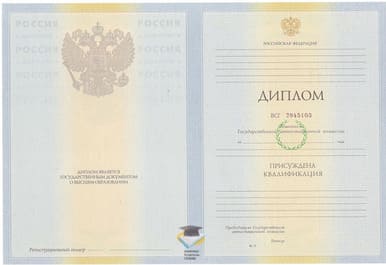 Диплом СПИГ 2010-2011 годов